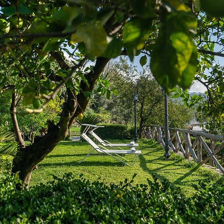 Villa Prota Vico Equense Εξωτερικό φωτογραφία